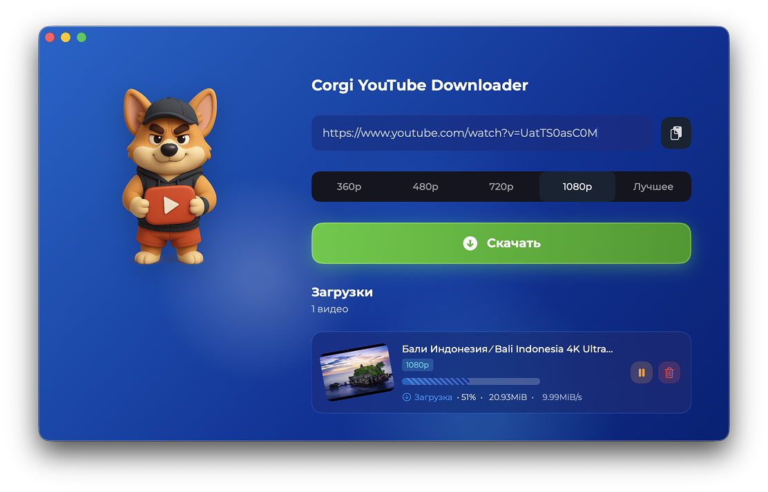 Раскройте мощь YouTube на вашем Mac с помощью Corgi YouTube Downloader. Поддержка